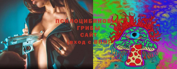 бошки Алексеевка